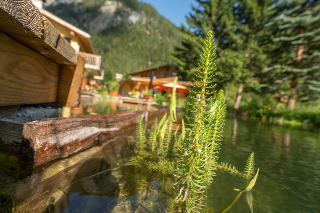 Apartments Am Burggraben Leutasch Dış mekan fotoğraf